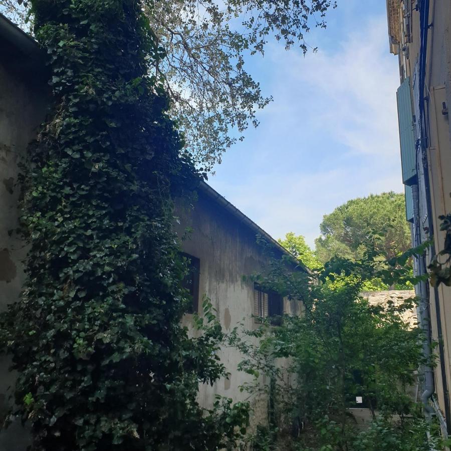 Appartement intra muros 8 personnes climatisé Wifi stationnement facile Aviñón Exterior foto